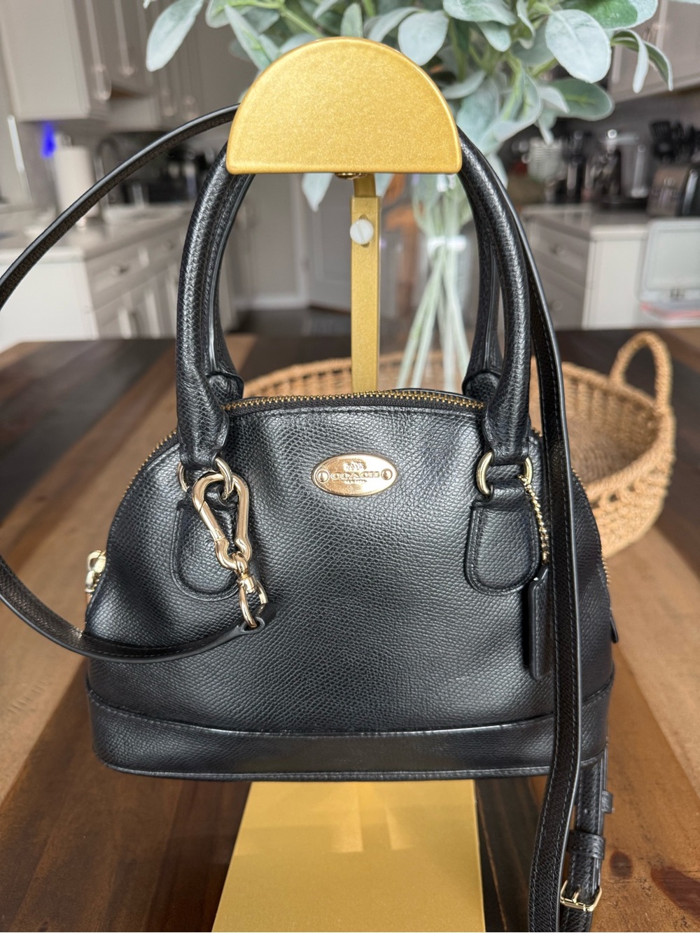 Coach Mini Sierra Satchel